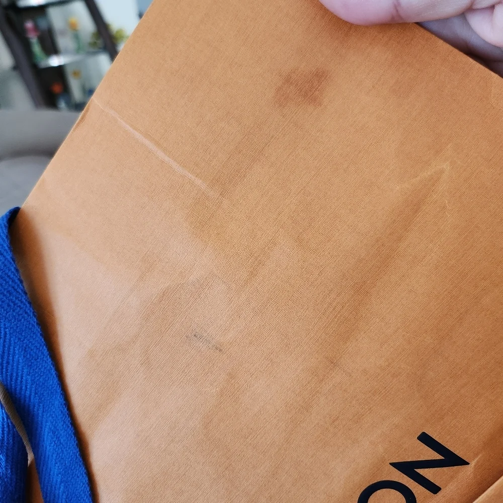 Louis Vuitton Large Paper Shopping Bag